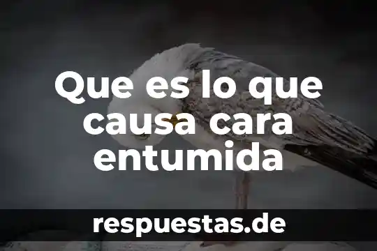 Que es feminicidioal es la causa del feminicidio 7 Que es lo que causa cara entumida
