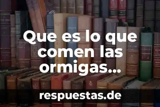 Que es lo que comen las ormigas miniaturas negras