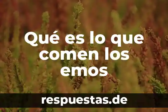 Qué es lo que comen los emos