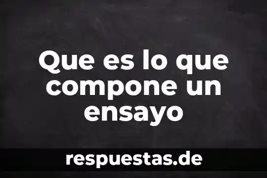 Que es lo que compone un ensayo