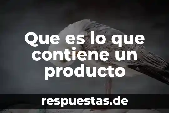 Que es la definición del producto 6 Que es lo que contiene un producto