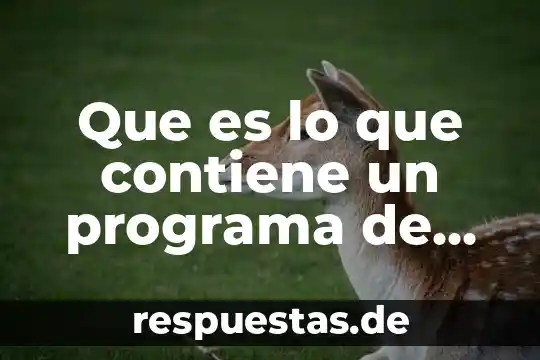 Que es lo que contiene un programa de reclutamiento