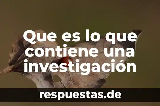 Que es lo que contiene una investigación