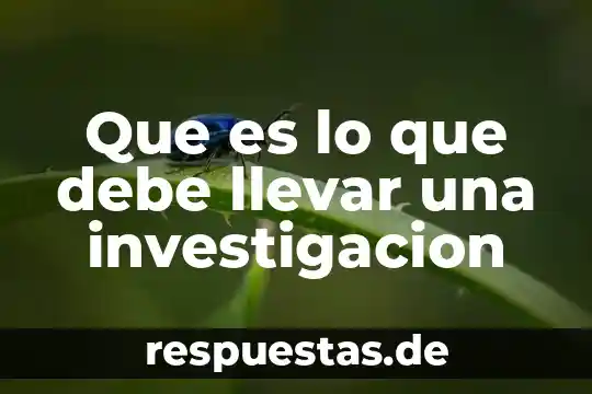 El derecho que es y el que debe ser 5 Que es lo que debe llevar una investigacion