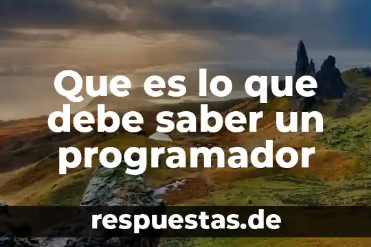 Buscamos amor sin saber lo que es 6 Que es lo que debe saber un programador