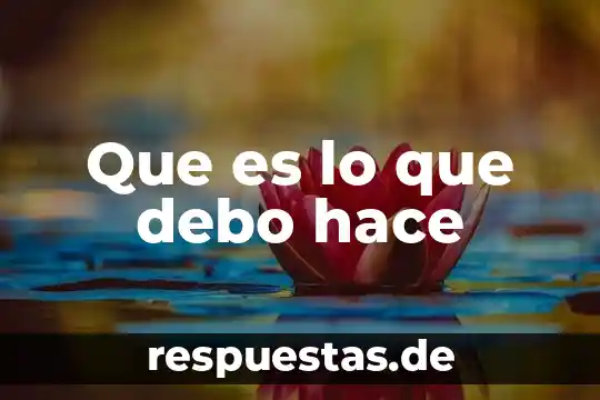 Que es un infograma como se hace 8 Que es lo que debo hace