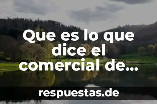 Qué es el gobierno definición política 5 Que es lo que dice el comercial de sitatyr