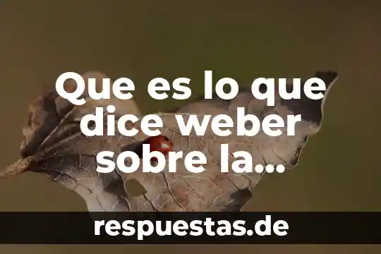 Que es el ser social y sus proceso de socialización 7 Que es lo que dice weber sobre la socialización