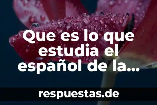 Que es historia en yahoo 3 Que es lo que estudia el español de la historia