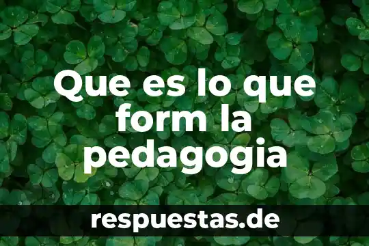 Que es pedagogia ejemplos 6 Que es lo que form la pedagogia