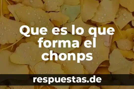 Que es y como se forma una luna azul 4 Que es lo que forma el chonps