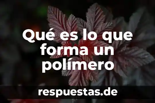 Para que es el icono o forma en un logo 5 Qué es lo que forma un polímero
