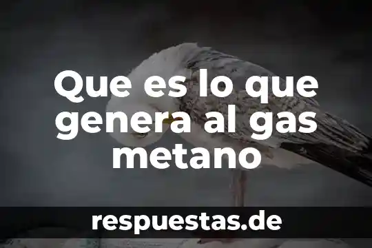 Qué es reproducción animal dominios org 6 Que es lo que genera al gas metano