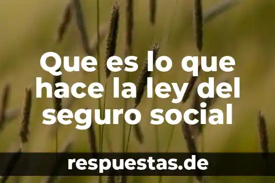 Qué es readaptación social definición 5 Que es lo que hace la ley del seguro social