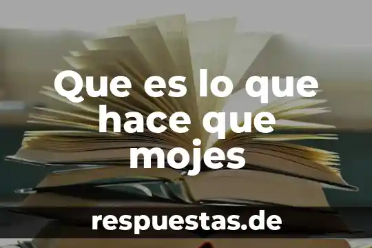 Que es lo que debo hace 7 Que es lo que hace que mojes