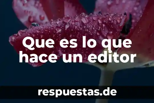 Qué es editor de música 3 Que es lo que hace un editor