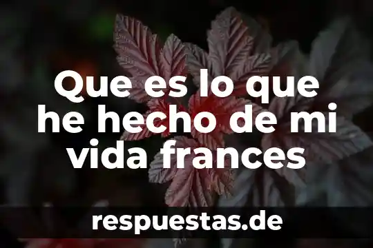 Vida virtual que es 8 Que es lo que he hecho de mi vida frances