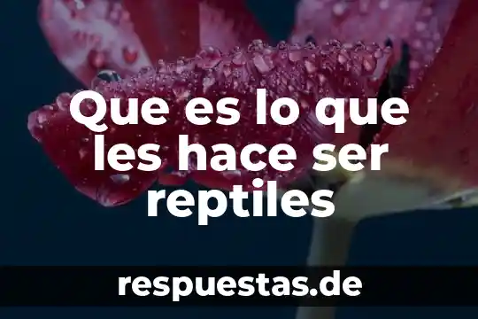 El muchacho que hace travesura que dice que es travieso 7 Que es lo que les hace ser reptiles