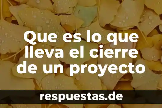Que es lo que lleva el cierre de un proyecto