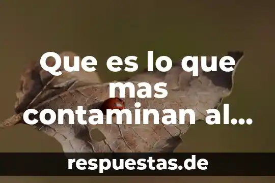 Que es el ambiente y cultura organizacional de una empresa 5 Que es lo que mas contaminan al medio ambiente