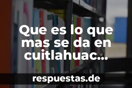 Qué es número de licencia de conducir México 8 Que es lo que mas se da en cuitlahuac veracruz