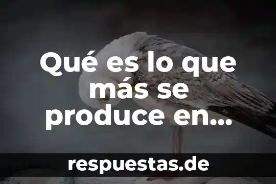 Que es el alcohol bebida efectos produce 4 Qué es lo que más se produce en argelia