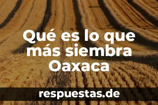 Qué es lo que más siembra Oaxaca