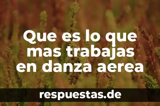 Qué es la danza definición corto 4 Que es lo que mas trabajas en danza aerea