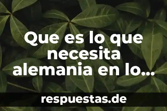 Que es nitrato de potasio y su nombre comercial 4 Que es lo que necesita alemania en lo comercial