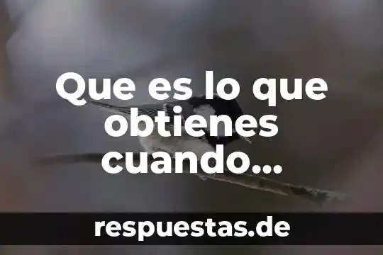 Que es antecedentes y planteamiento del problema 3 Que es lo que obtienes cuando resuelves un problema
