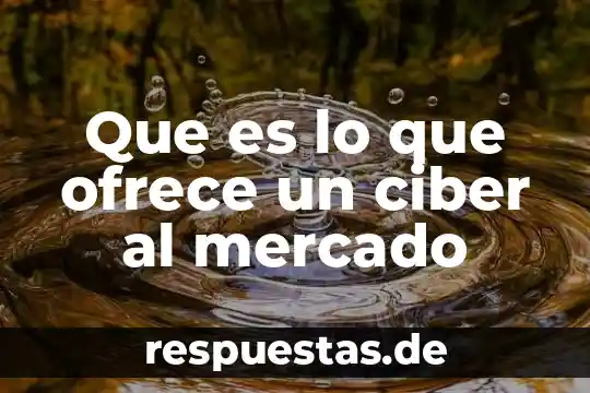 Qué es un servicio de internet en un ciber 8 Que es lo que ofrece un ciber al mercado