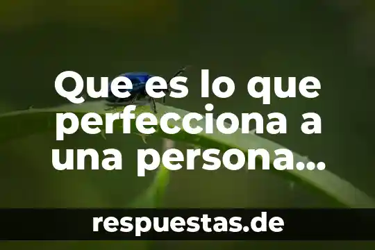 Qué es la reaccionología en filosofía 4 Que es lo que perfecciona a una persona filosofia