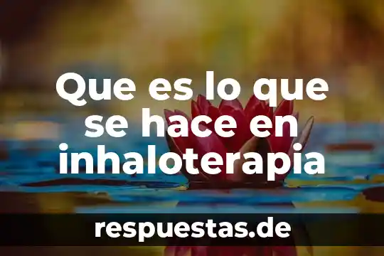 Que hace subdireccion de proteccion animal que es 8 Que es lo que se hace en inhaloterapia