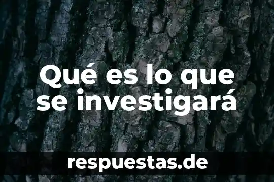 Que es la composición de funciones 7 Qué es lo que se investigará