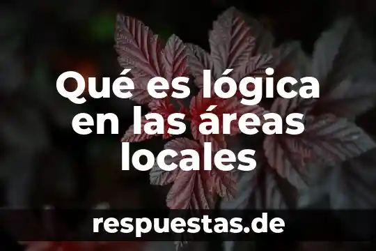 Qué es la lógica sustentable 4 Qué es lógica en las áreas locales
