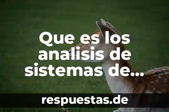 Que es un analisis de plataforma 3 Que es los analisis de sistemas de informacion