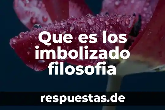 Qué es cínicos en filosofía 5 Que es los imbolizado filosofia