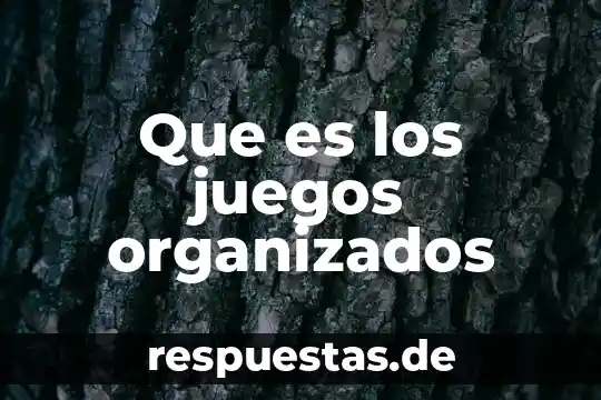Que es el programa dove animate 6 Que es los juegos organizados