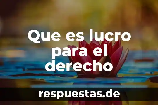 Que es una sociedad civil con fines de lucro 3 Que es lucro para el derecho
