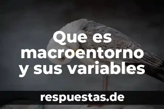 Que es macroentorno y sus variables