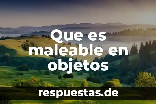 Qué es la abstracción de objetos en Java 4 Que es maleable en objetos