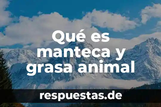 Qué es y para qué sirve la manteca 6 Qué es manteca y grasa animal