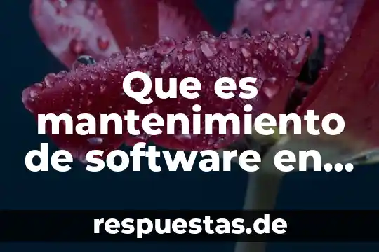 Que es mantenimiento de software en programacion