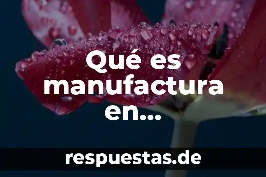 Que es auditoria informatica de la manufactura 8 Qué es manufactura en contabilidad