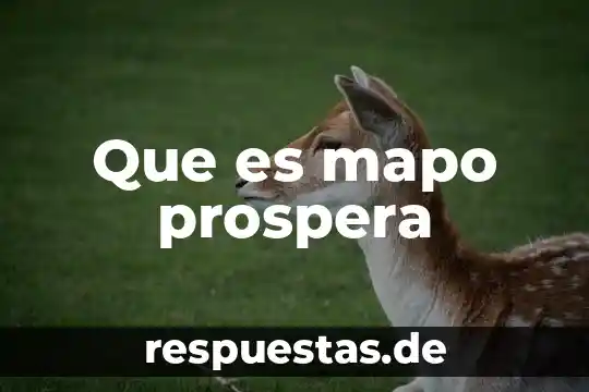 Que es temperatura en quimica en termodinamica 4 Que es mapo prospera