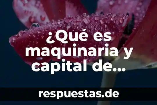 Que es significa trabajo 6 ¿Qué es maquinaria y capital de trabajo?