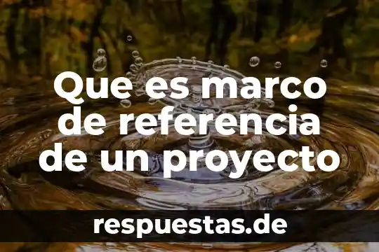 Qué es la puerta de marco 4 Que es marco de referencia de un proyecto