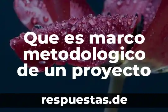 Qué es la diseño metodológico de hipótesis en un proyecto 6 Que es marco metodologico de un proyecto