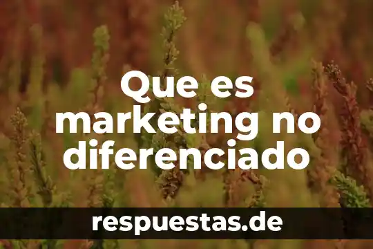 Geografico marketing que es 6 Que es marketing no diferenciado