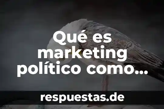 Qué es marketing político como son las campañas políticas